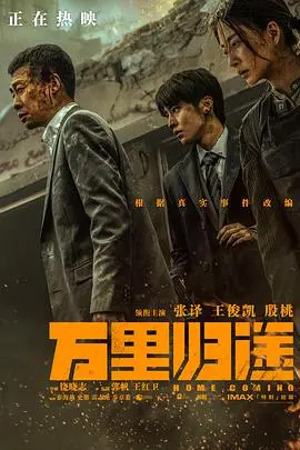 《万里归途》：这哪是回家？简直是“我朋友的妈妈”式的生死考验！